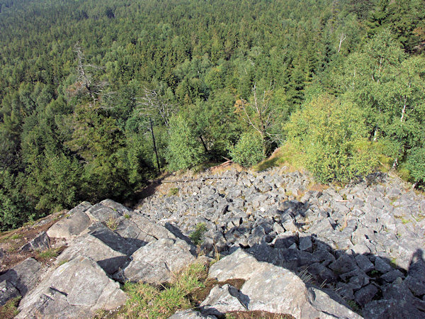 Pohled z vrcholu Malého Stožce přes suťové pole na lesy pod kopcem.
