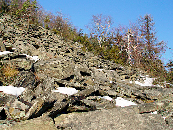 Phonolithe debris on the slopes of Jedlová-hill.