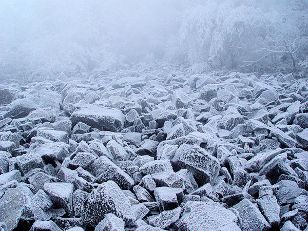 The debris of the slope of Klíč hill covered by white frost disappears in the frosty fog.