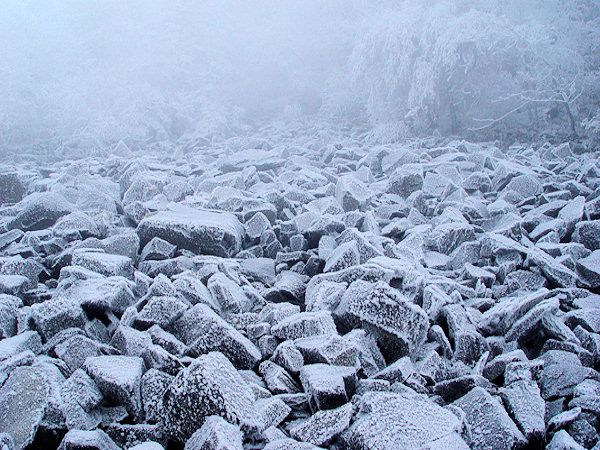 Der bereifte Schutt auf dem Hang des Klíč verliert sich im frostigen Nebel.