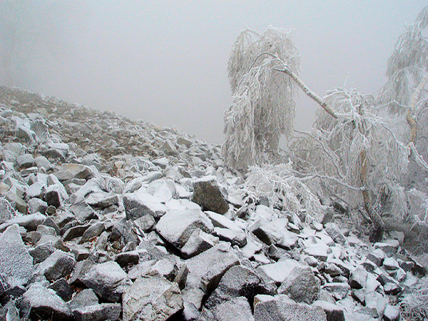 In the wintery fog it seems that on the Klíč hill the time is coming to a standstill.