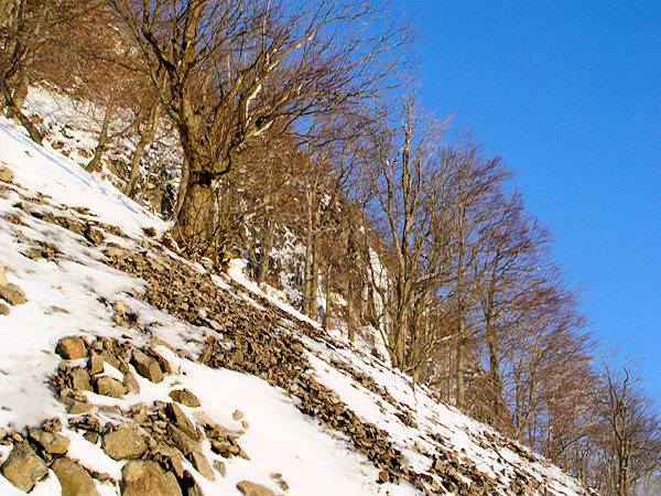 During early spring the snow covering the debris fields of Klíč hill thaws only slowly.