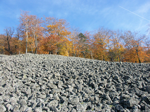 During autumn the debris field of the Studenec are flanked by golden beeches.