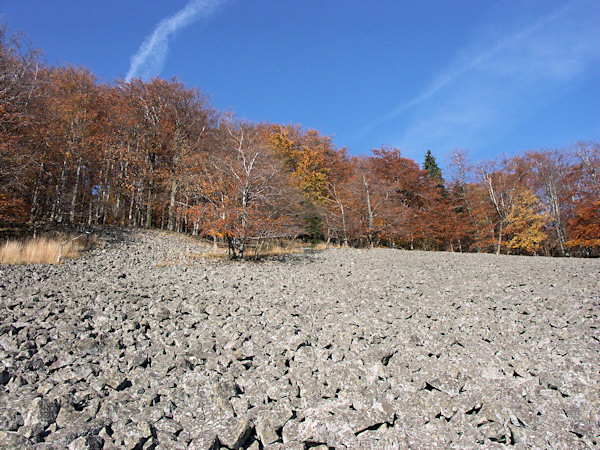 The debris fields on the Studenec are from all sides surrounded by wood.