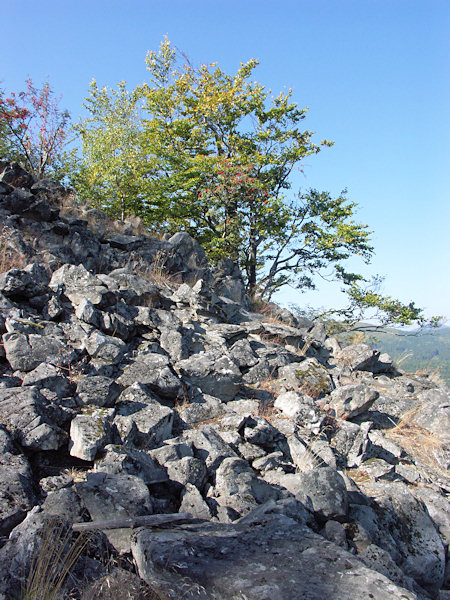 Klingsteinschutt unter dem Nordgipfel des Suchý vrch.