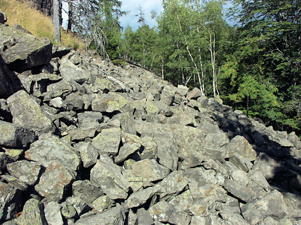 Debris slope at the Chřibský vrch-hill.