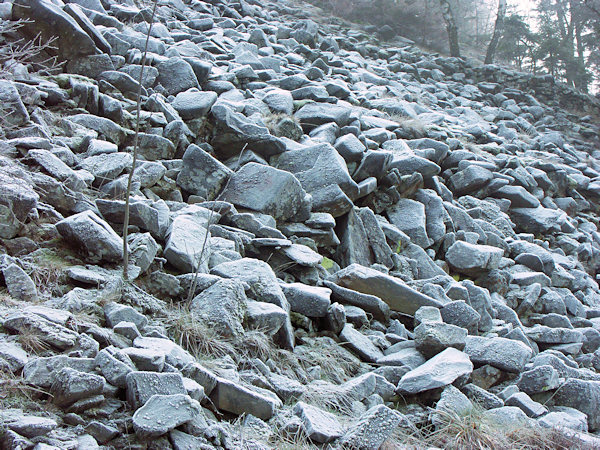 Early frost at the north slope of Klíč hill.