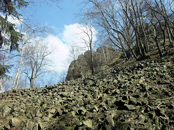 Basaltic debris on the slope of the Střední vrch.