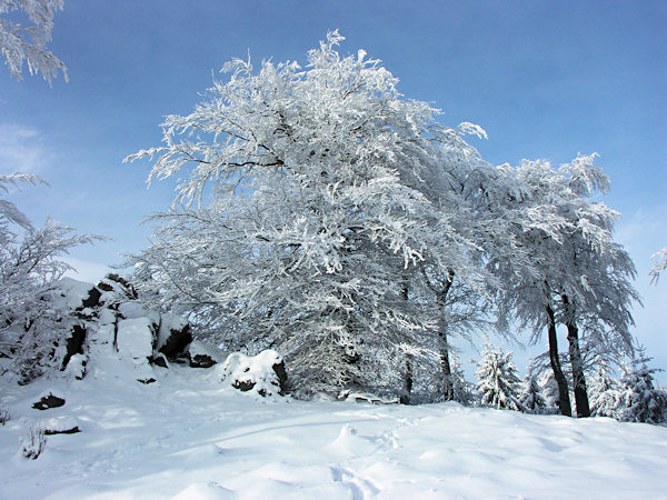 Auf dem Konopáč-Felsen (Hanfkuchen).