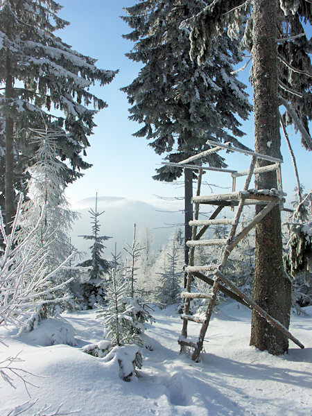 Frosty morning at the deer-stand.