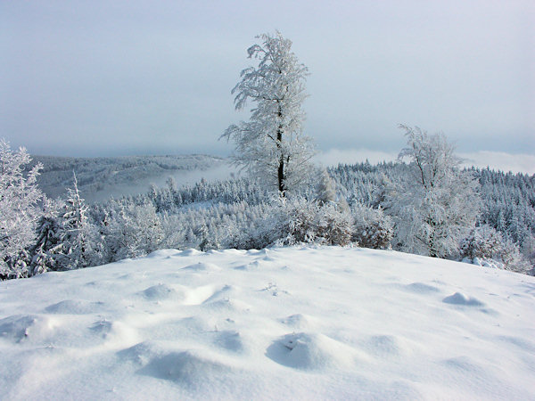 View from the Konopáč rock into the clouds.