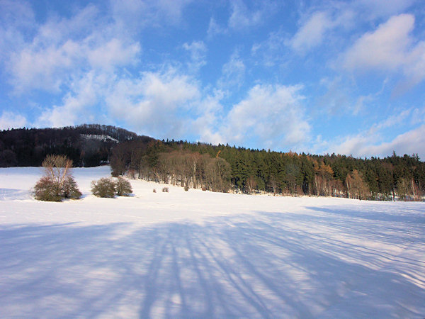 Shadows on the meadow under the Rousínovský vrch hill.