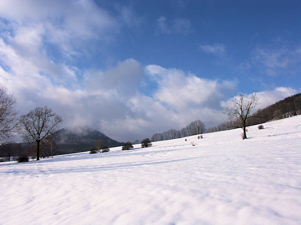 Meadows under the Rousínovský vrch hill.