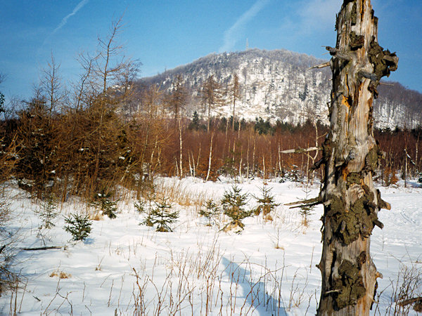 Winter under the Luž-hill.