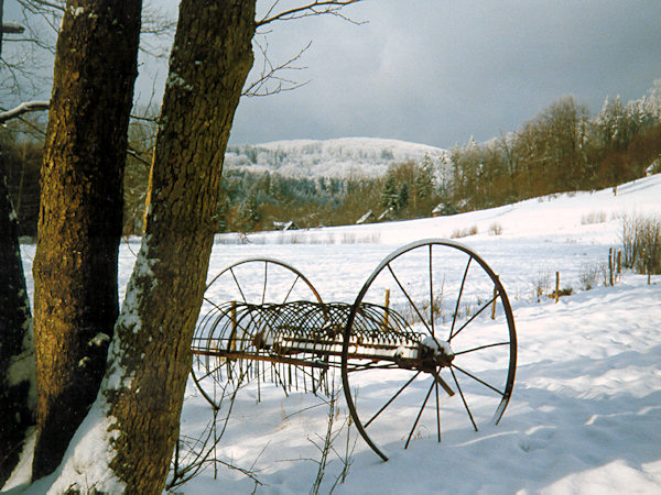 Snow-covered meadows near Rousínov.
