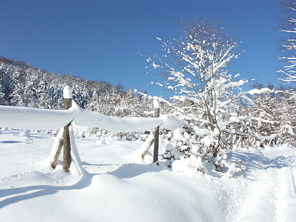 A fence under the Javor hill.