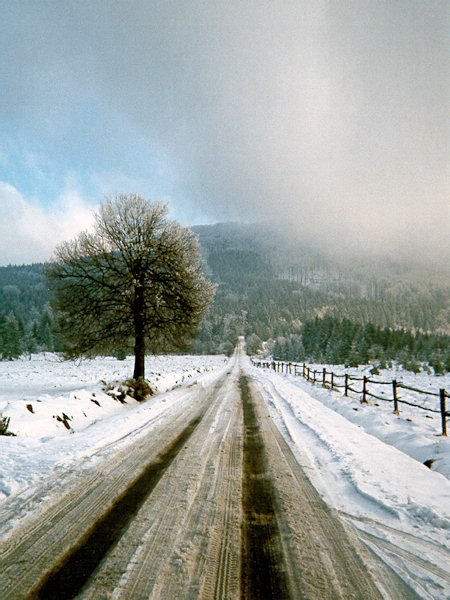 Snow-storm near of the village Nová Huť.