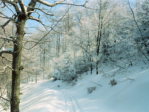 Snow-covered road at the Pěnkavčí vrch hill.