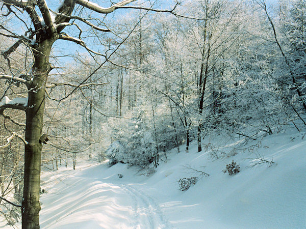 Zugeschneite Strasse am Pěnkavčí vrch (Finkenkoppe).