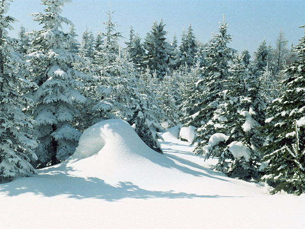 Unter dem Pěnkavčí vrch (Finkenkoppe).