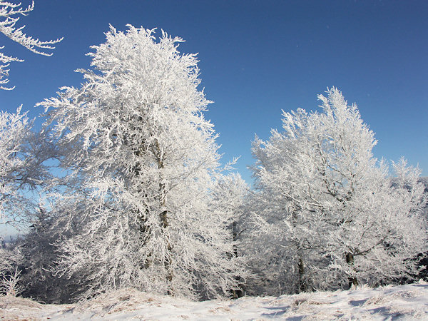 Auf dem Konopáč-Felsen (Hanfkuchen).