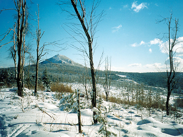 Snow-covered scenery under the Luž-hill.