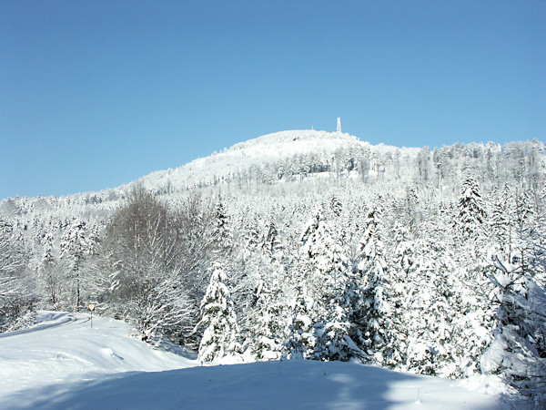 View of Jedlová hill from the railway station with the same name.