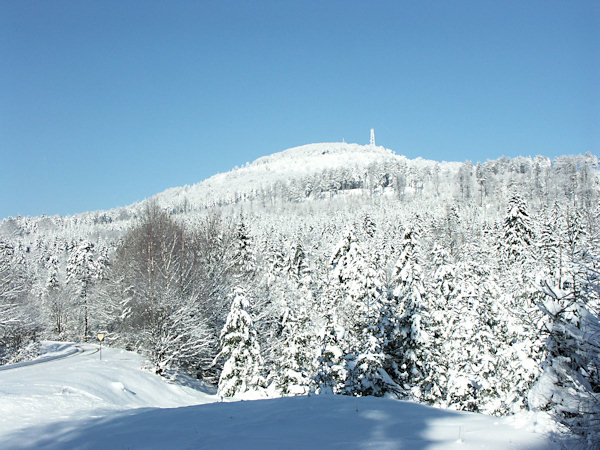 Blick auf den Jedlová (Tannenberg) vom gleichnamigen Bahnhof.