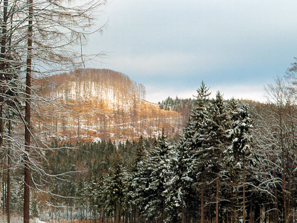 The hill Popelová hora near Kytlice.