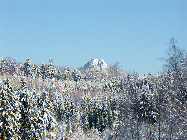 Forest near the Tollenstein castle.