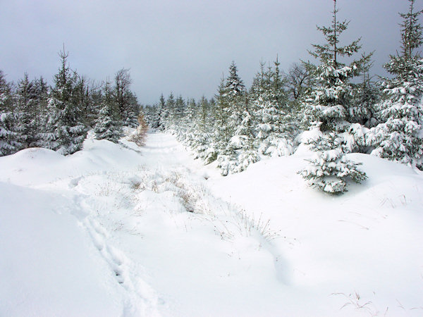 The way to the Stožec hill.