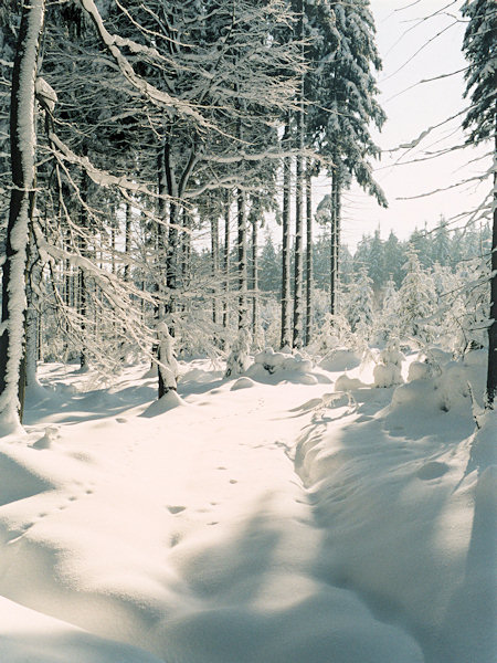 Am Wege aus Nová Huť (Neuhütte).