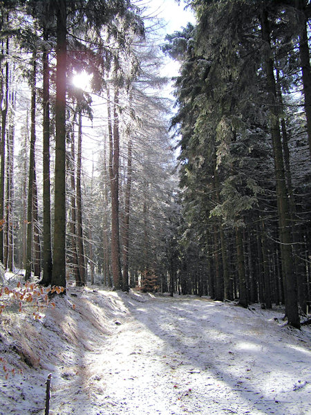 Weg nach Rousínov (Morgenthau).