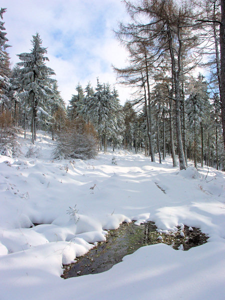 A puddle under the Konopáč ridge.