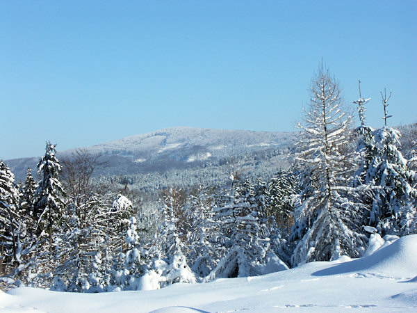 View of the Pěnkvačí vrch.