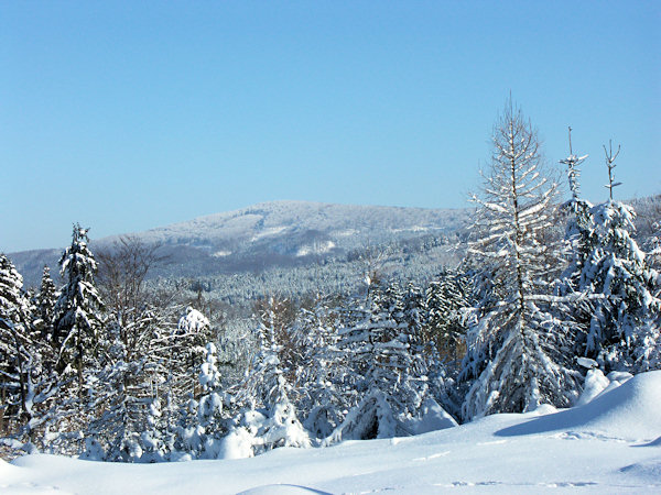 Blick auf den Pěnkavčí vrch (Finkenkoppe).