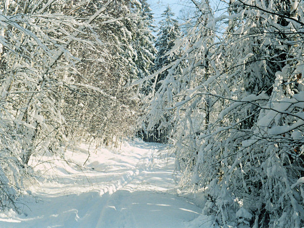 Von Mlýny (Hillemühl) nach Jedlová (Tannenberg).