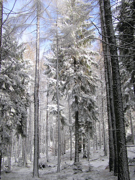 The first snow on the Kobyla.