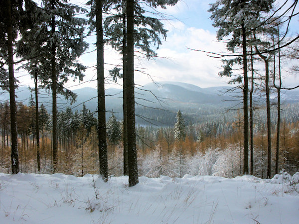 Blick zum Velká Tisová-Berg (Grosser Eibenberg).