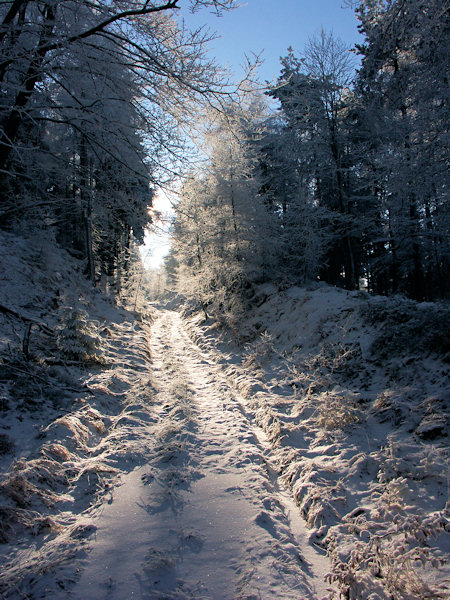 The Devil's road – a hollowed-out track on the slope of the Konopáč rock.