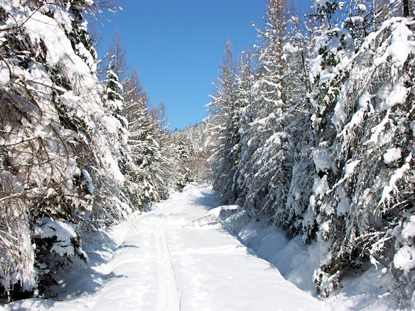 Snowy road under the Javor hill.