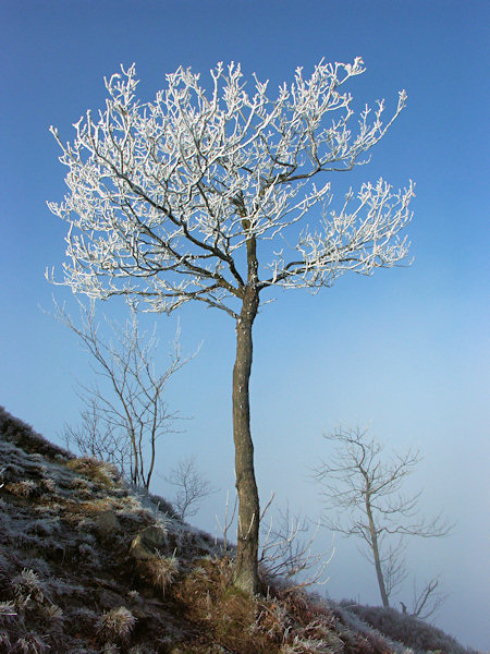 A daredevil on the peak of the Klíč hill.
