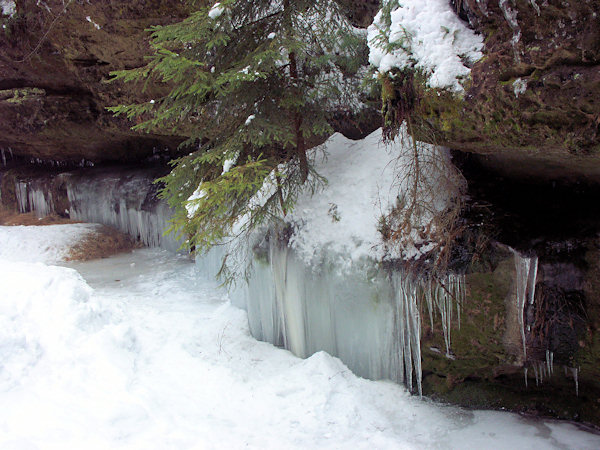 Nativity scene in the valley of the Vlčí potok-brook.