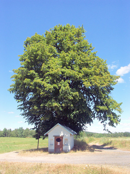 Kapelle der Hl. Dreifaltigkeit bei Sněžná (Schnauhübel).