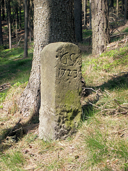 A boundary-stone marking the border of the Grabštejn dominion at the border-way from Polesí to the Tobiášova borovice.
