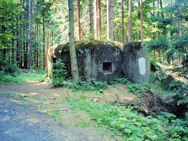 Prvosledový řopík M2/23/A180 u lesní silničky pod Ledovou jeskyní.