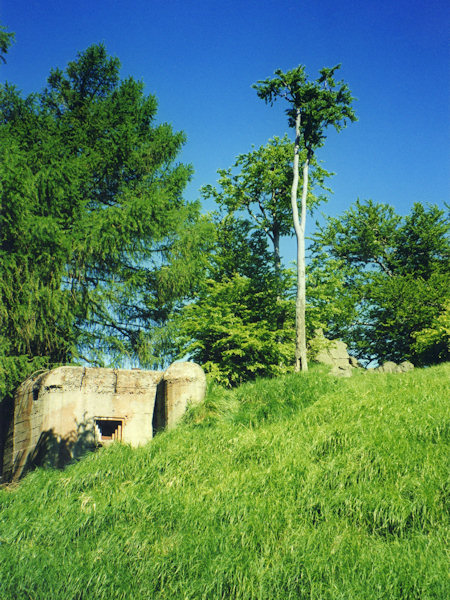 Prvosledový řopík N1/63/A200 stojí na svahu pod skalnatým vrcholem Konopáče.