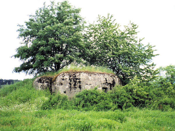 Uprostřed louky vlevo od silnice z Mařenic do Juliovky stojí prvosledový řopík M1/34/A140Z.