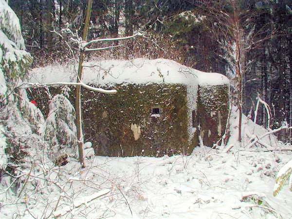 Zasněžený prvosledový řopík L1/55/A160, stojící v lese východně od Horního Sedla.