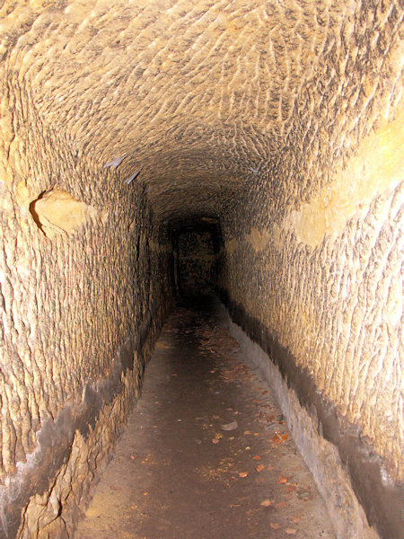 Tunel starého vodního náhonu u dolní pily v Hamru u Naděje.